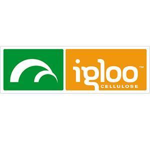 Logo IGLOO