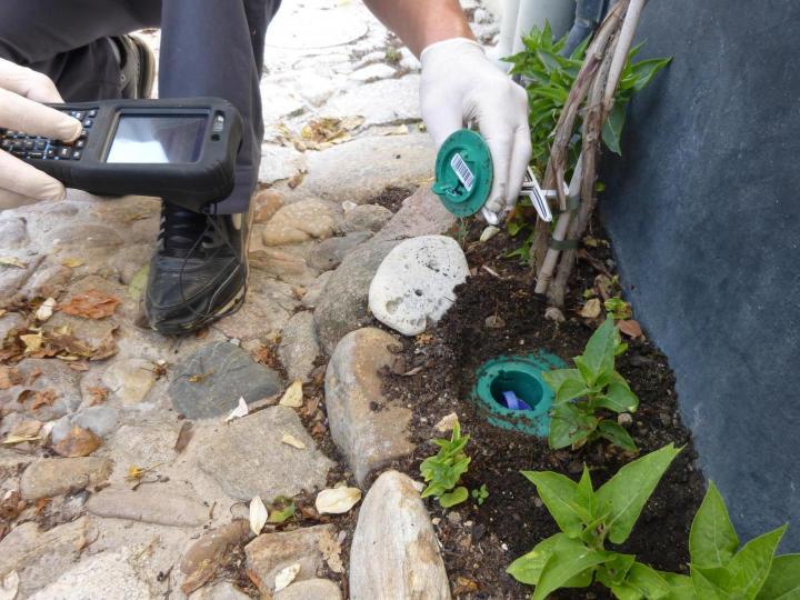 Pièges - Appâts / Barrière chimique