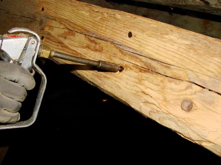 Le traitement des bois