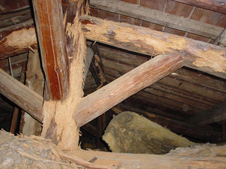 Travaux Traitement des bois Béziers